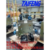 YJ32-315GLBCV插装阀泰丰智能