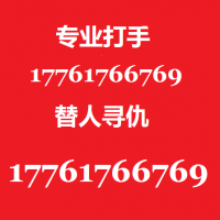 专业打手 帮人打架复仇17761766769