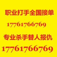 金牌打手 职业替人复仇17761766769