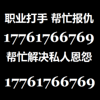 花钱找职业打手替自己出气17761766769