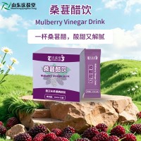 葚醋饮代加工 独立袋装发酵果蔬液态饮品OEM源头工厂贴牌定制