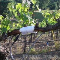 QT-2022包裹式植物茎流系统
