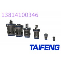 山东泰丰智能二通插装阀插件 规格齐全DG16-DG160