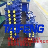 山东泰丰厂家供应可加工定制多路阀TRM20