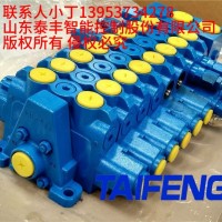 TRM20-BX-02-JX-01多路阀泰丰液压厂家加工定制